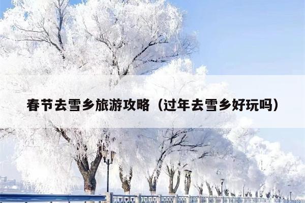 春节去雪乡旅游攻略（过年去雪乡好玩吗）