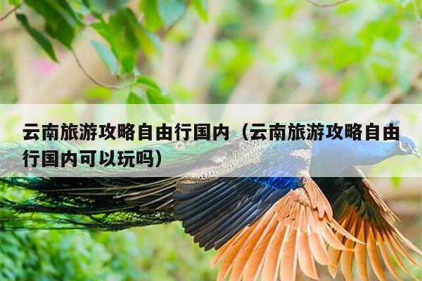 云南旅游攻略自由行国内（云南旅游攻略自由行国内可以玩吗）