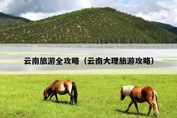 云南旅游全攻略（云南大理旅游攻略）