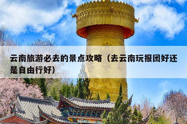 云南旅游必去的景点攻略（去云南玩报团好还是自由行好）