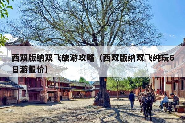 西双版纳双飞旅游攻略（西双版纳双飞纯玩6日游报价）