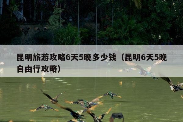 昆明旅游攻略6天5晚多少钱（昆明6天5晚自由行攻略）