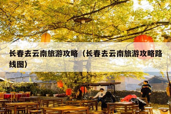 长春去云南旅游攻略（长春去云南旅游攻略路线图）