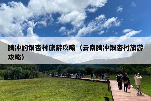 腾冲的银杏村旅游攻略（云南腾冲银杏村旅游攻略）