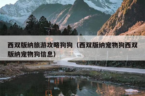 西双版纳旅游攻略狗狗（西双版纳宠物狗西双版纳宠物狗信息）