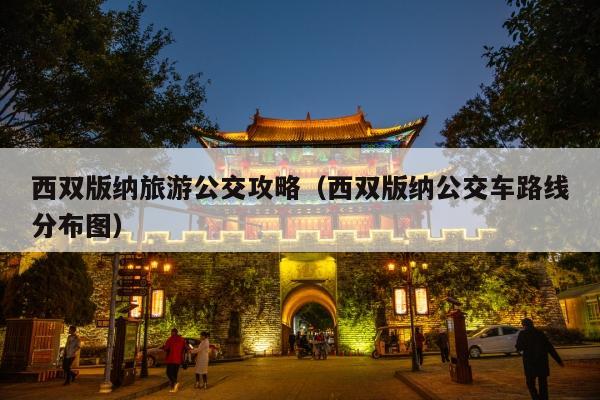 西双版纳旅游公交攻略（西双版纳公交车路线分布图）