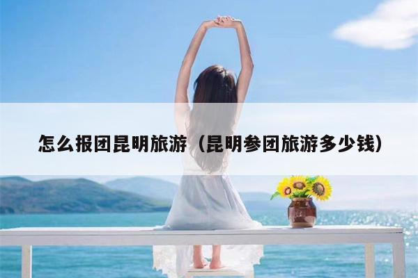 怎么报团昆明旅游（昆明参团旅游多少钱）