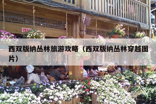 西双版纳丛林旅游攻略（西双版纳丛林穿越图片）