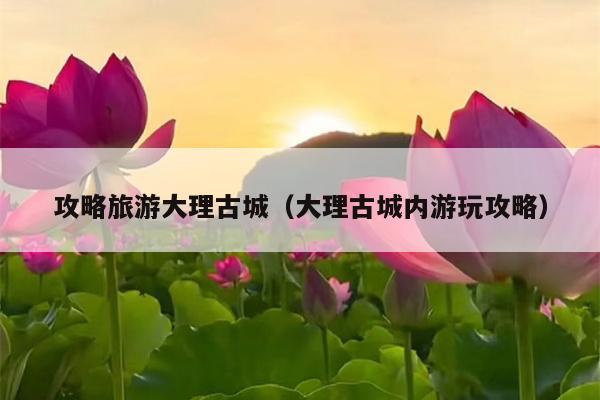攻略旅游大理古城（大理古城内游玩攻略）