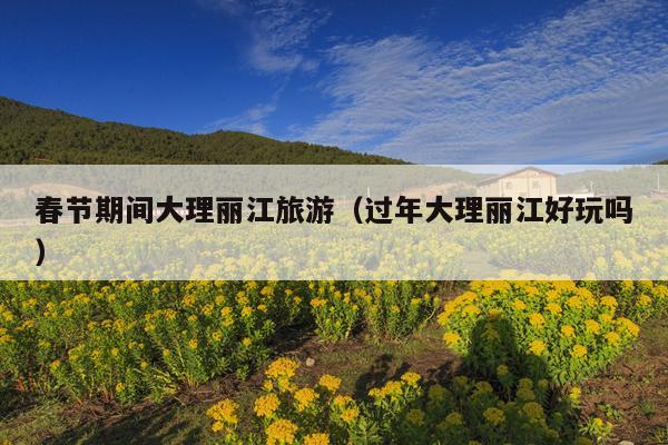 春节期间大理丽江旅游（过年大理丽江好玩吗）