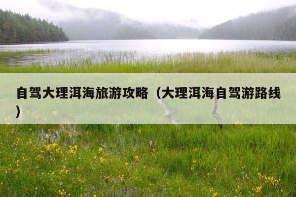 自驾大理洱海旅游攻略（大理洱海自驾游路线）