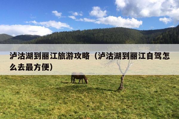 泸沽湖到丽江旅游攻略（泸沽湖到丽江自驾怎么去最方便）
