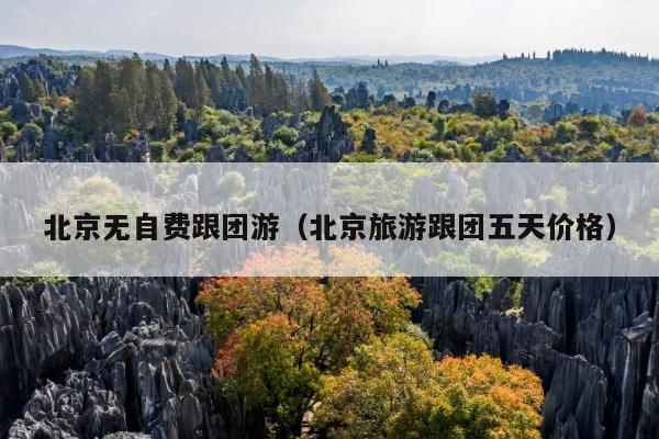 北京无自费跟团游（北京旅游跟团五天价格）