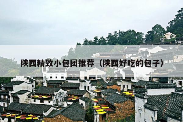 陕西精致小包团推荐（陕西好吃的包子）