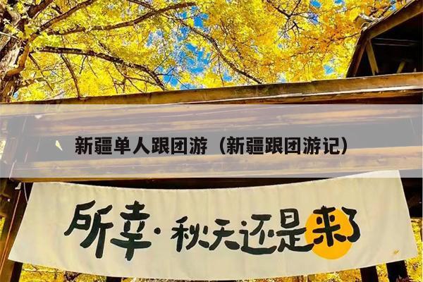新疆单人跟团游（新疆跟团游记）