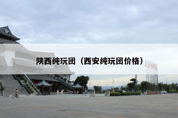 陕西纯玩团（西安纯玩团价格）