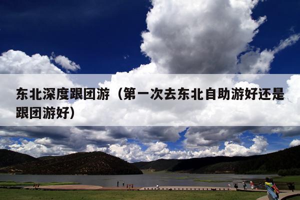 东北深度跟团游(第一次去东北自助游好还是跟团游好)