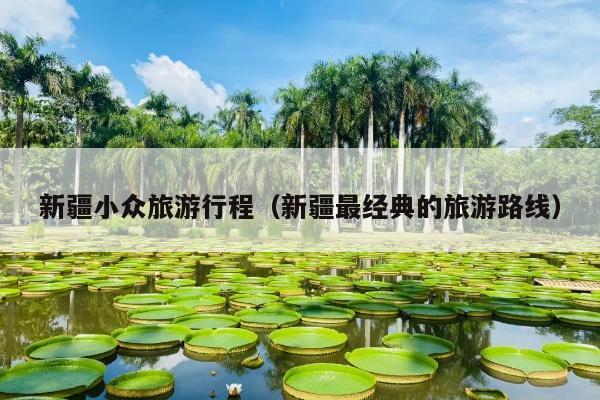 新疆小众旅游行程（新疆最经典的旅游路线）