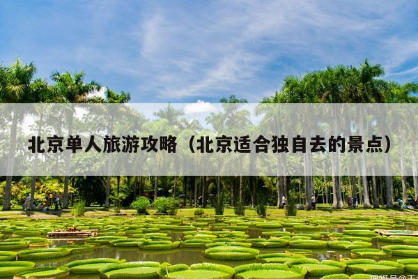 北京单人旅游攻略（北京适合独自去的景点）