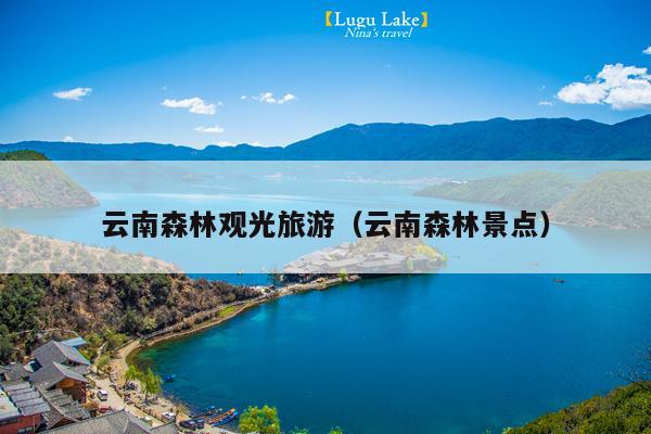云南森林观光旅游（云南森林景点）