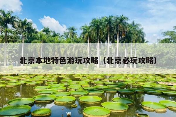 北京本地特色游玩攻略（北京必玩攻略）