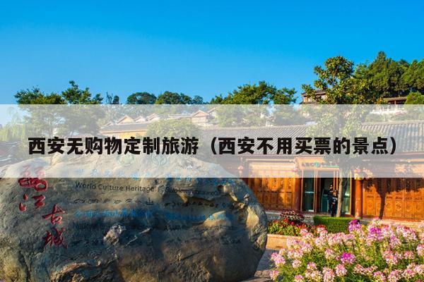 西安无购物定制旅游（西安不用买票的景点）