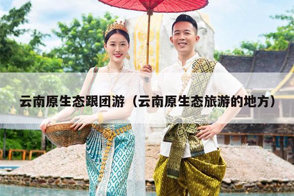 云南原生态跟团游（云南原生态旅游的地方）
