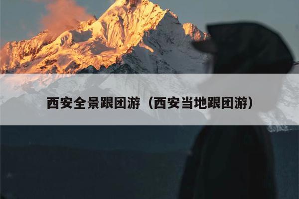 西安全景跟团游（西安当地跟团游）