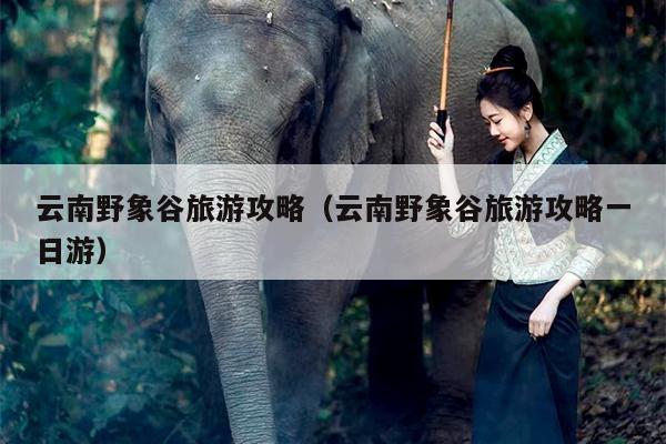 云南野象谷旅游攻略（云南野象谷旅游攻略一日游）