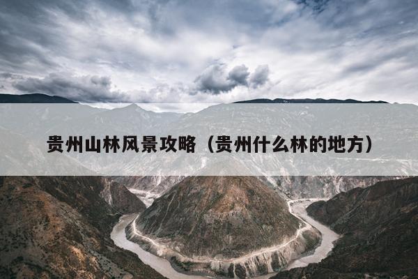 贵州山林风景攻略（贵州什么林的地方）