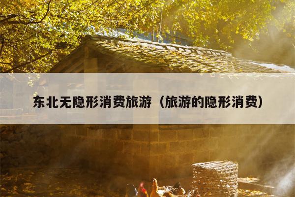 东北无隐形消费旅游（旅游的隐形消费）