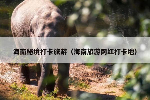 海南秘境打卡旅游（海南旅游网红打卡地）
