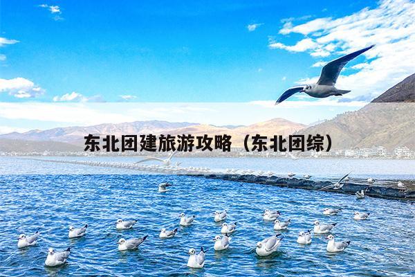 东北团建旅游攻略（东北团综）