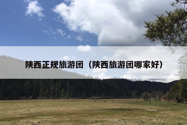 陕西正规旅游团（陕西旅游团哪家好）