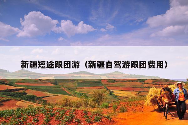 新疆短途跟团游（新疆自驾游跟团费用）