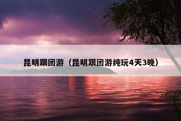 昆明跟团游（昆明跟团游纯玩4天3晚）