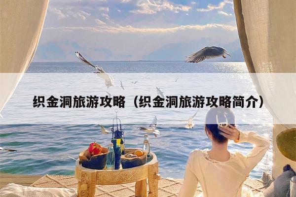 织金洞旅游攻略（织金洞旅游攻略简介）