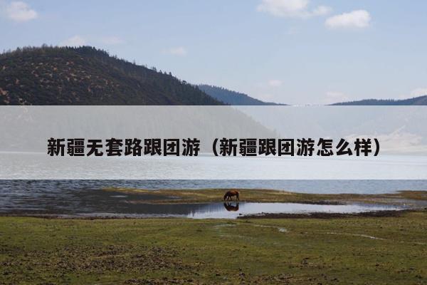 新疆无套路跟团游（新疆跟团游怎么样）
