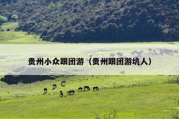 贵州小众跟团游（贵州跟团游坑人）