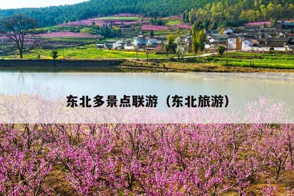 东北多景点联游（东北旅游）