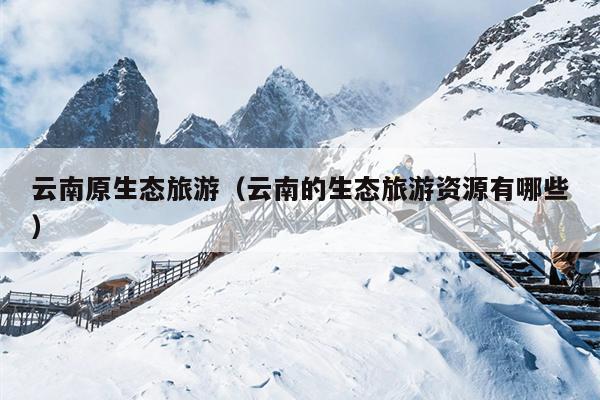 云南原生态旅游（云南的生态旅游资源有哪些）