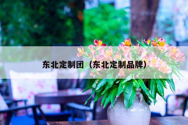 东北定制团（东北定制品牌）