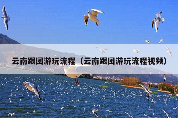云南跟团游玩流程（云南跟团游玩流程视频）
