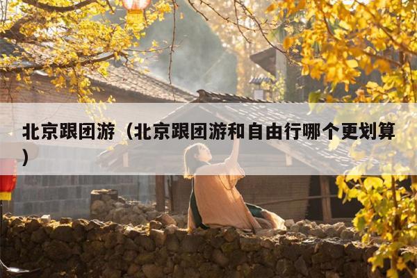 北京跟团游（北京跟团游和自由行哪个更划算）