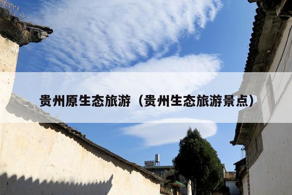 贵州原生态旅游（贵州生态旅游景点）