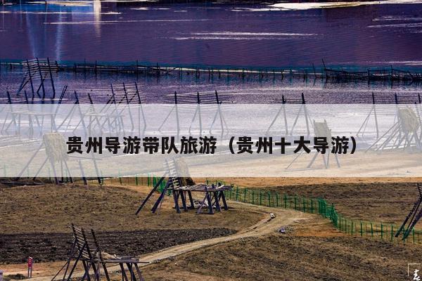 贵州导游带队旅游（贵州十大导游）