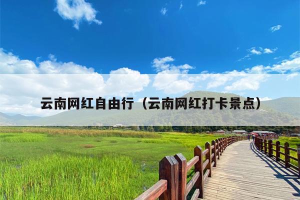 云南网红自由行（云南网红打卡景点）