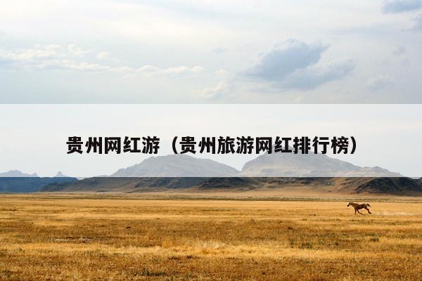贵州网红游（贵州旅游网红排行榜）