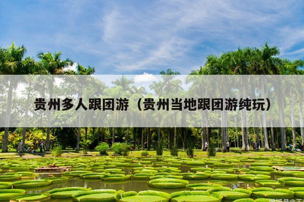 贵州多人跟团游（贵州当地跟团游纯玩）