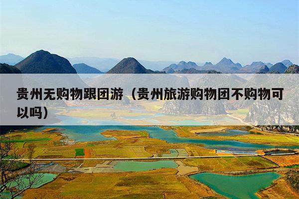 贵州无购物跟团游（贵州旅游购物团不购物可以吗）